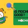 Is MochiKaiwa Good? A Complete Feature Breakdown 
